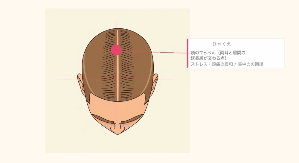 百会のツボ位置図解 頭頂部